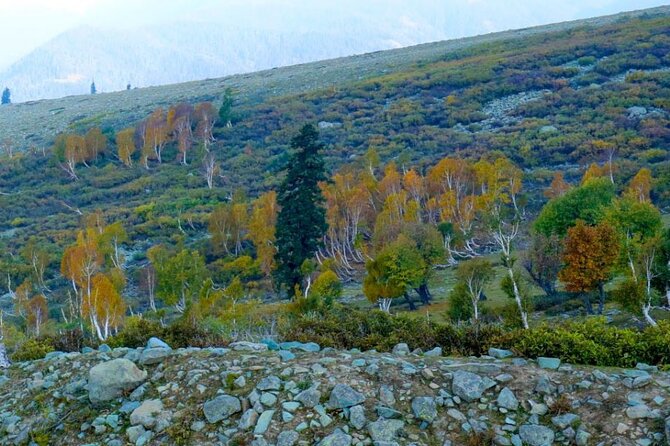 Gulmarg Adventure: a Thrilling Day Trip From Srinagar - Exciting Activities to Experience