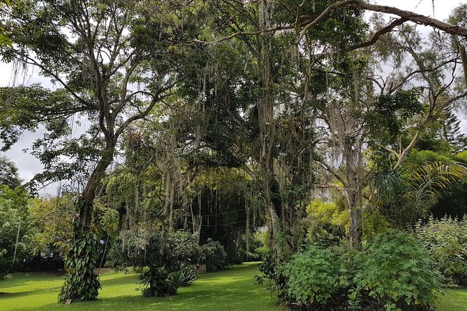 Hacienda Coloma Coffee Day Tour in Fusagasugá From Bogotá