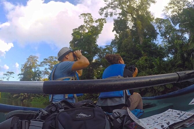 Half-Day / Canoe and Hike in to Tortuguero National Park - Activity Overview
