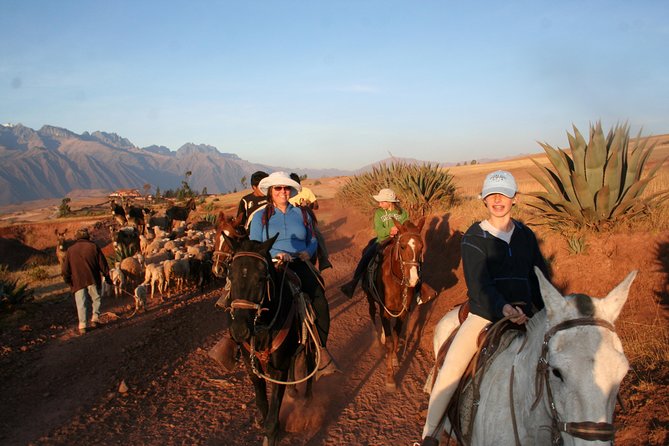 Half Day - City Horse Traditional Riding Tour Group Service - Requirements