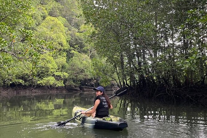 Half-Day Geopark Mangrove Kayaking Adventure - Activity Details