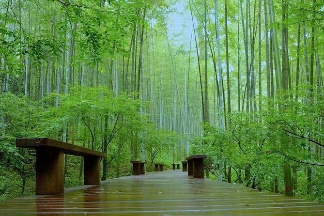 Half-Day Hangzhou Nature Explore With Green Tea Village and Yunxi Bamboo Forest - Itinerary Overview