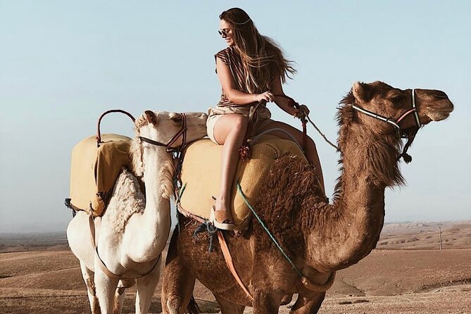 Half-Day Hot Air Balloon Flight of Atlas Mountains With Breakfast