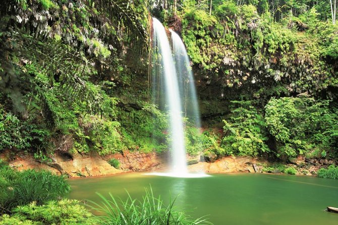 Half-Day Lambir Hills National Park Tour From Miri - Additional Information