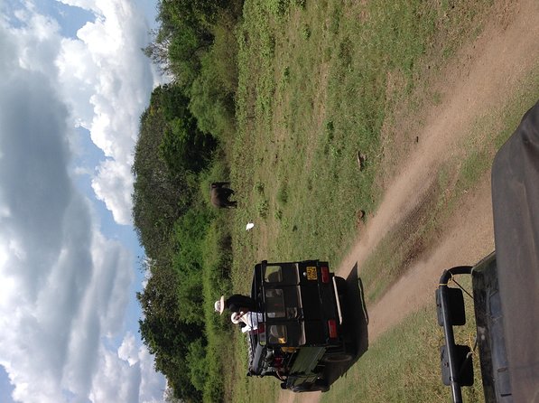 Half Day - Minneriya National Park Safari Tour From Habarana/Sigiriya