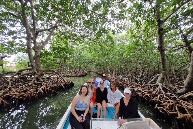Half Day Private Roatan Cultural East Tour - Tour Highlights