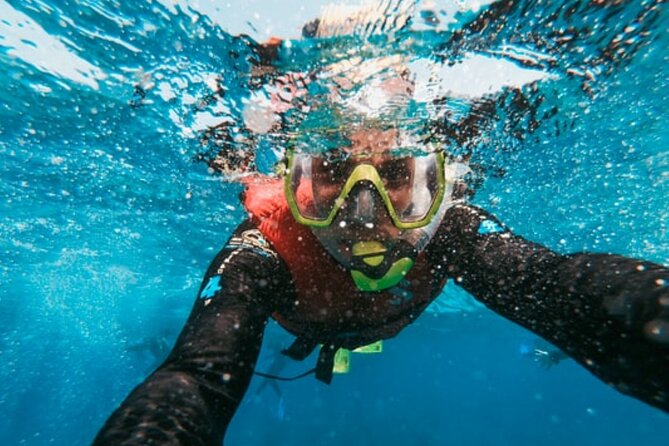 Half Day Roatan Reef Snorkeling Trip - Location Details