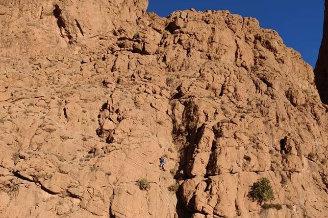 Half Day Rock Climbing Todra Gorges - Activity Overview