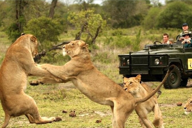 Half Day Safari - Tala Game Reserve and Natal Lion Park Fr Durban - Convenient Pick-up and Drop-off