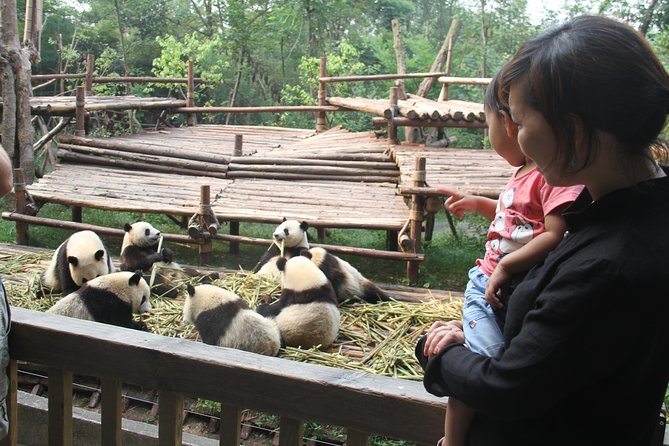 Half-Day Self-Guided Chengdu Panda Research Base Tour