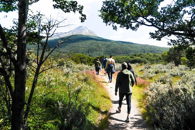 Half-Day Small-Group Tierra Del Fuego National Park Tour - Tour Highlights