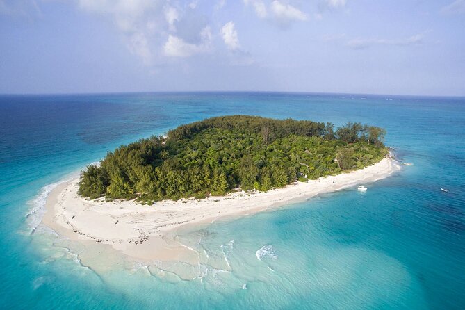 Half-day Snorkeling at Mnemba Coral Gardens - Inclusions and Services Provided
