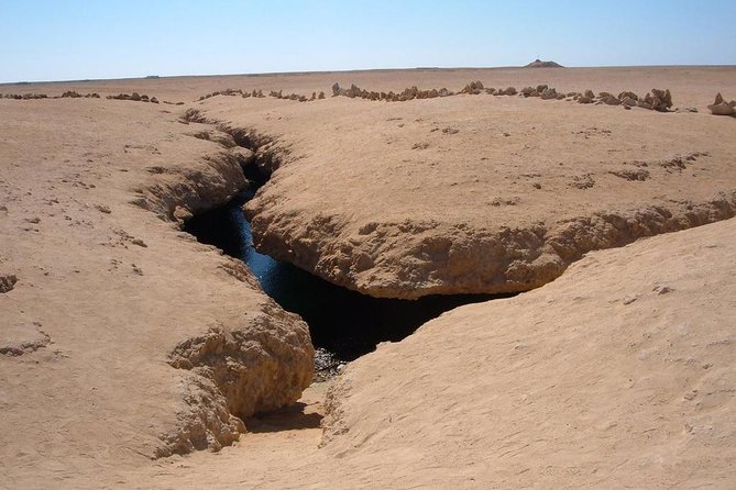 Half-Day Snorkeling Trip to Ras-Mohammed National Park by Bus - Destination and Transportation Details