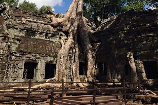 Half-Day Ta Prohm and Banteay Kdei Tour - Highlights of the Tour
