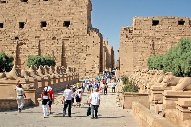Half-Day Tour of the East Bank in Luxor - Itinerary Overview