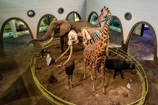 Half Day Tour to Nairobi National Museum & Snake Park - Tour Overview