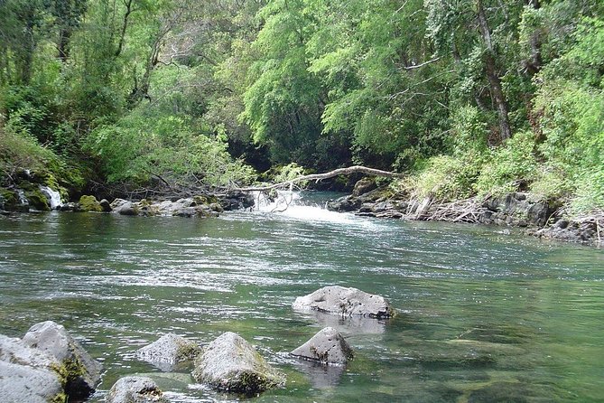 Half Day Tour to the Eyes of Caburgua From Pucon