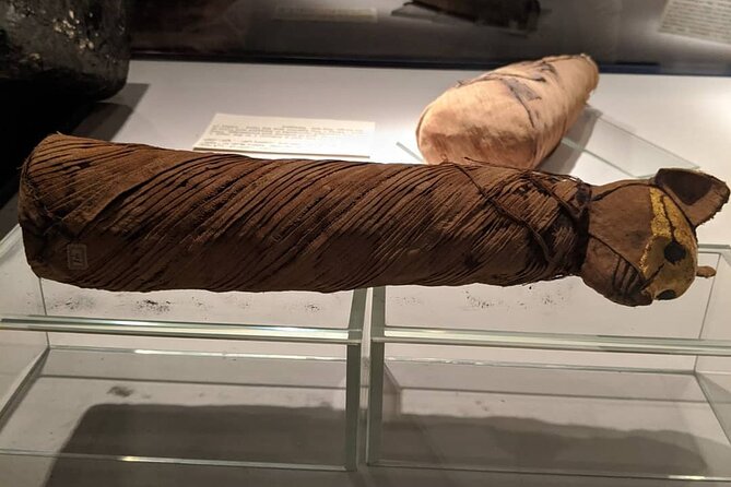 Half Day Tour Visit Luxor And Mummification Museums