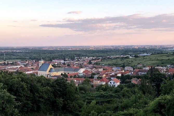 Half-Day Tour With Organic Wine Tasting in Bratislava - Inclusions and Pricing