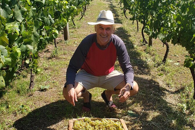 Half Day Wine Tasting in Salta