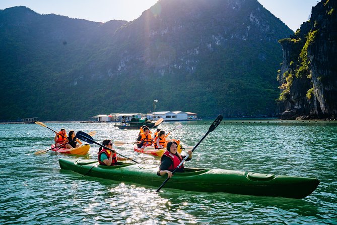 Halong Bay Nature Heritage Day Trip - Tour Highlights