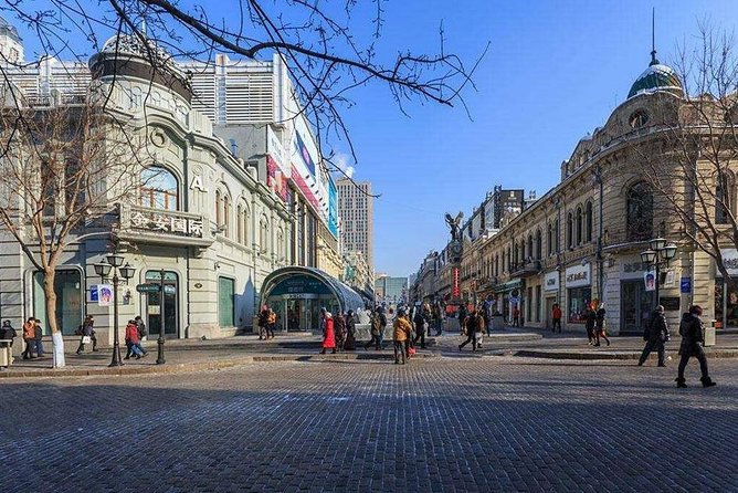 Harbin City Group Tour Including Crossing Songhua River by Ropeway and Ice Swimming Show - Tour Details