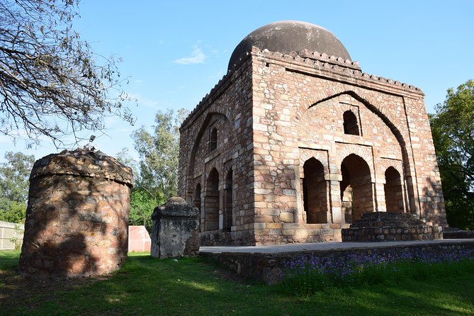 Hauz Khas Walking And Tasting Guided Tour - Tour Highlights