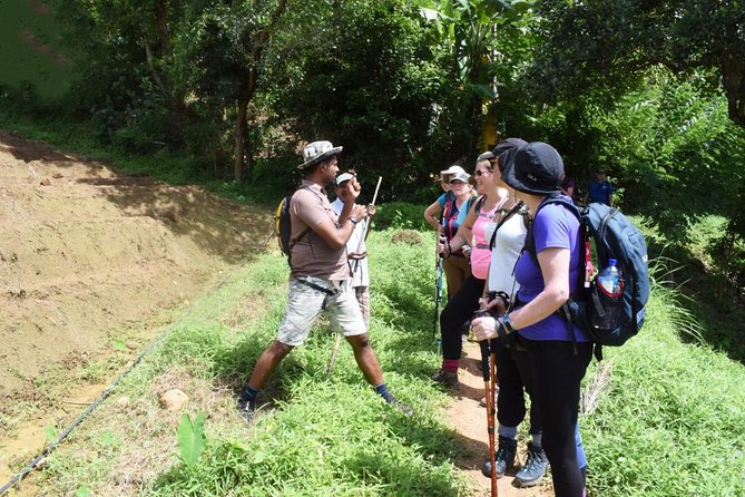 Heeloya Village Trekking With Lunch - Tour Overview