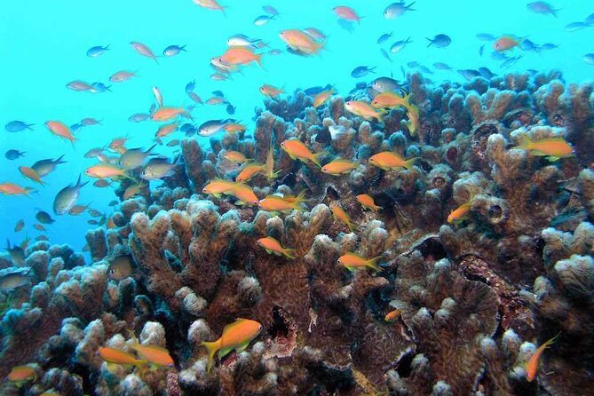 Hello 2 Days 1 Night From Aqaba (From Aqaba to Dead Sea, Petra & Wadi Rum) - Itinerary Highlights