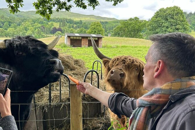 Hidden Gems of the Highlands: Quaint Villages & Highland Cows