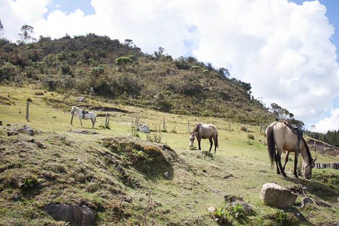 Highlands Horseback Riding in Bogotá - Overview of Highlands Horseback Riding
