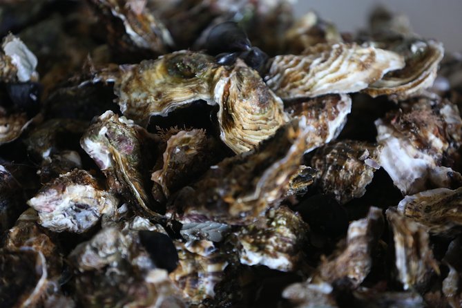 Highlights of Sète: History, Food and Wine Experience