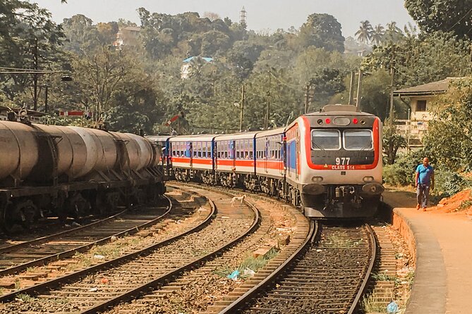 Highlights of Sri Lanka by Train (12) - Chauffer Guide Services Included