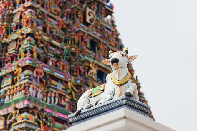 Highlights of the Chennai (Guided Full Day City Tour) - Tour Guide Expertise and Language Skills