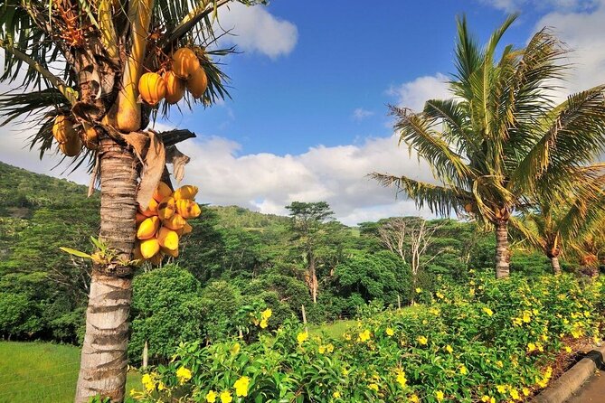 Highlights of the West Coast With Sunset at Chamarel Viewpoint, Private Tour