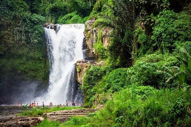 Highlights of Ubud
