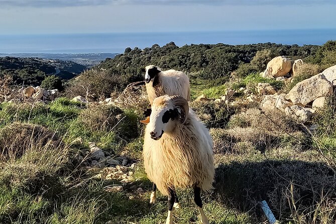 Hike in Rethymno: Maroulas... Unkown but Fabulous Path, for Real Explorers - Trail Difficulty Level