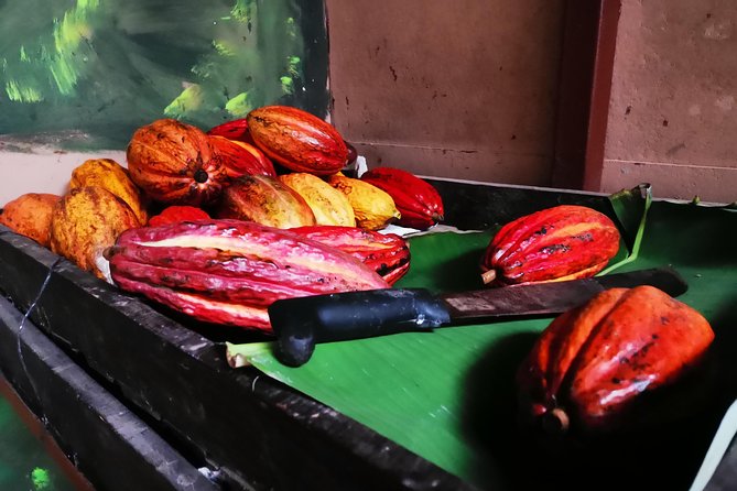 Hike in the Rainforest and Coffee Tour in Monteverde - Rainforest Hiking Experience