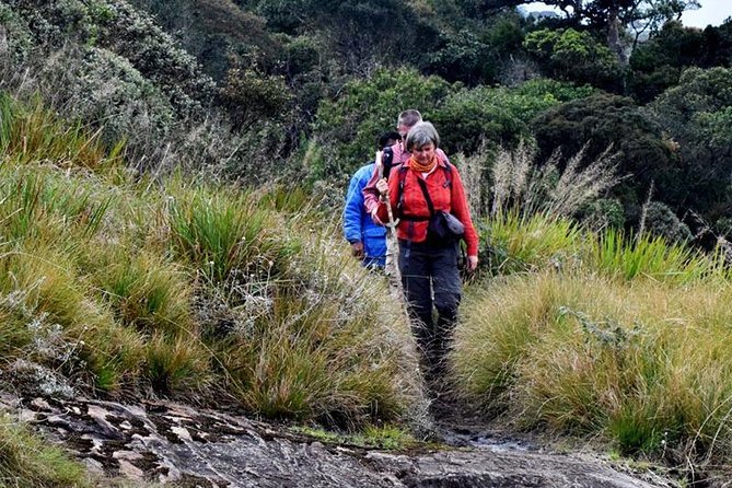 Hike to Kirigalpotta Mountain Via Horton Plains National Park