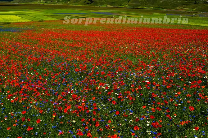 Hiking : Castelluccio Di Norcia & Lake Pilato – Umbria