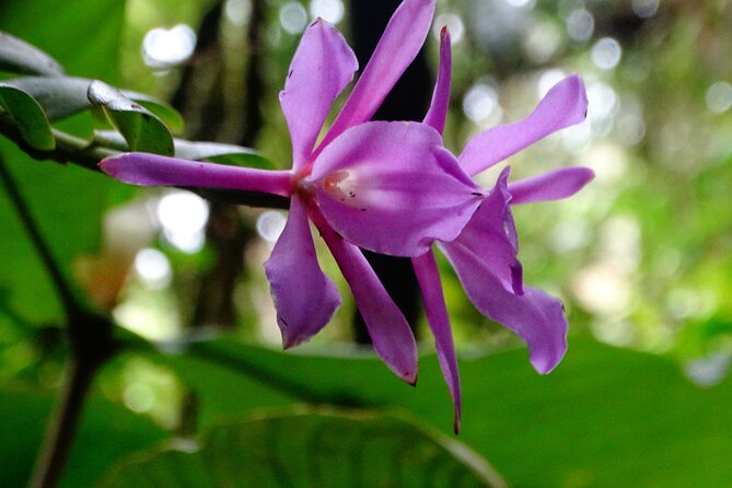 Hiking Experience in El Quetzal Private Reserve - Overview of El Quetzal Private Reserve