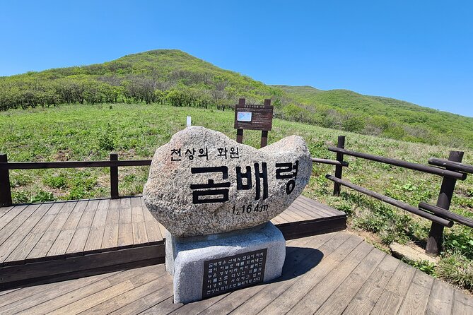 Hiking in Gombaeryeong Wildflowers of Seoraksan National Park - Seoraksan National Park: Breathtaking Scenery Awaits