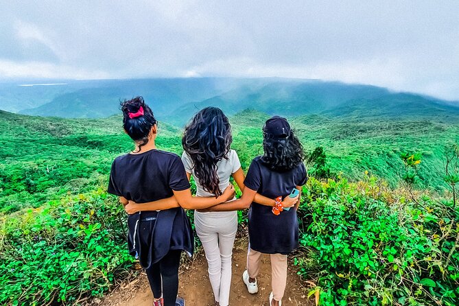 Hiking Piton De La Petite Riviere Noire Mountain Including Lunch & Transfer - Pickup Details and Requirements