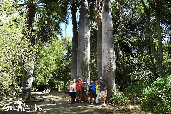 Hiking Tour in LA CAMPANA NATIONAL PARK Private Tour - Tour Overview