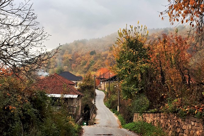 Home-Hosted Meal in the Slopes of Mount Belasica – Day Trip From Skopje