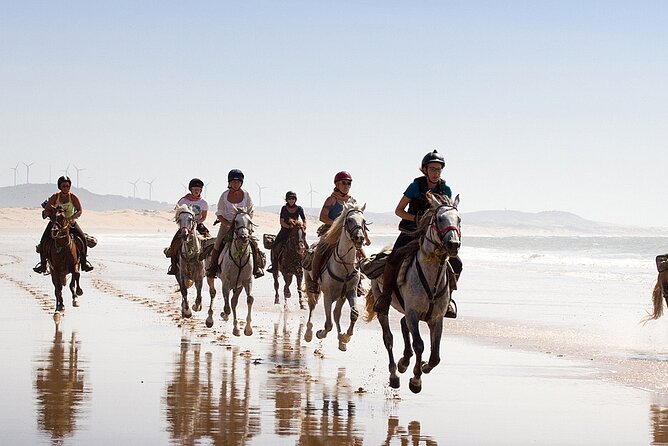 Horse and Camel Ride From Agadir or Taghazout - Activity Overview