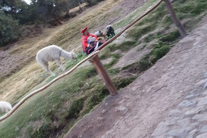 Horse Back Riding Cusco (Mistic Tour) - Location