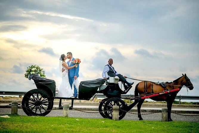 Horse Carriage Ride - Location Details