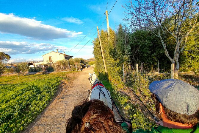 Horse Carriage Tour and Wine Tasting in Lazise - Activity Details