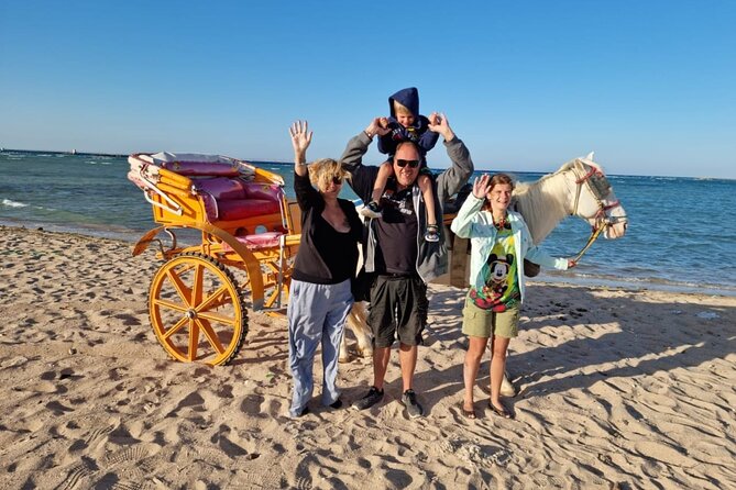 Horse Drawn Carriage 3 Hours With BBQ Dinner at the Desert, Transfer - Hurghada - Experience Overview